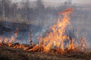 В заповеднике «Хакасский» введен пожароопасный период