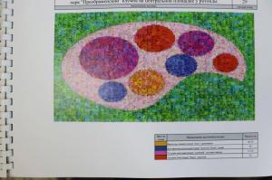 150 тысяч цветов украсят Абакан этим летом