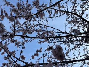 В пятницу в Хакасии потеплеет