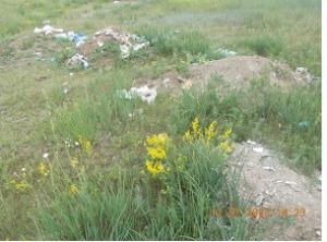 На сенокосных угодьях в Боградском районе обнаружена свалка