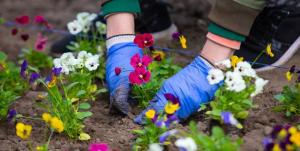 53-летняя нарушительница ПДД теперь занимается благоустройством Таштыпского района