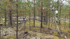 Учёные ХГУ научились проводить мониторинг парниковых газов на станции мирового уровня