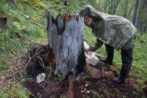 В Хакасии заботятся о диких животных и подкармливают их