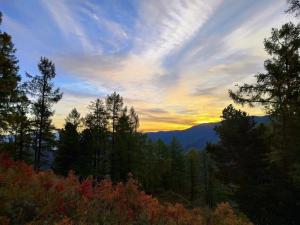 Тепло до плюс 20 градусов ожидается завтра в Хакасии