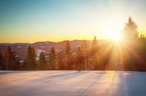 День зимнего солнцестояния наступит завтра