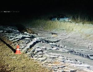 Юная автоледи сбила лошадь в Ширинском районе