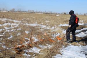 В Хакасии растет количество палов травы