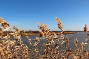 Среда в Хакасии будет ветреной