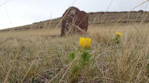 Госохранинспекция Хакасии проводит мониторинг объектов культурного наследия федерального значения