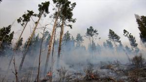В Усть-Абаканском районе почти двое суток тушили грозовой пожар