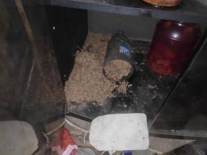 Житель Черногорска хранил в гараже марихуану