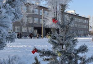 В Абакане с 10 сентября начнётся приём заявлений на размещение ёлочных базаров