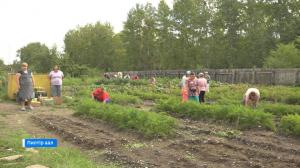 Пациенты Бельтырского психоневрологического интерната в  своем огороде вырастили небывалый урожай