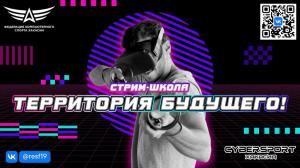 В Хакасии стримеры получат поддержку