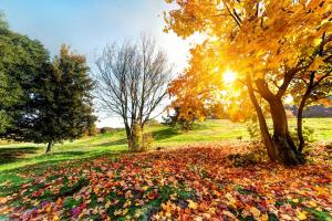 Первый день октября в Хакасии будет тёплым