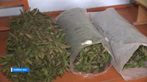 В с. Койбалы Бейского района готовят очередную партию маскировочных сетей