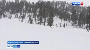 В Ергаках погибла 15-летняя школьница