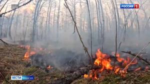 Виновнику лесного пожара – штраф почти миллион рублей
