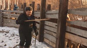 Чирiм унi. Фермер М.С.Алахтаев