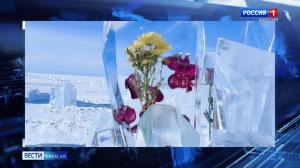 Живые цветы в ледовом плену