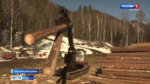Грамотный подход к сохранению хакасской тайги