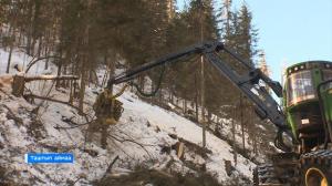 Таштыпский район и министерство леса Хакасии подписали соглашение о защите тайги и подготовке кадров