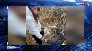 Жительница Минусинска работала на украинских наркодилеров