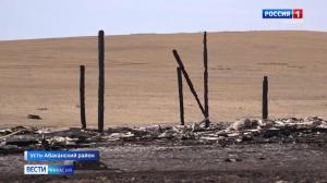 Десятки животных сгорели на ферме в Усть-Абаканском районе