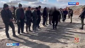 Треть мигрантов, которых проверила полиция, нарушили закон и будут оштрафованы 