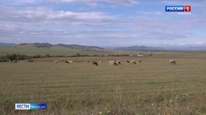 Фиктивный фермер получил более 3 млн. бюджетных денег