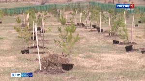 Память о них будет расти