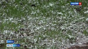 Погода держит Хакасию в тонусе