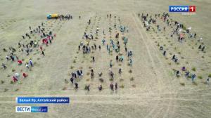 В Алтайском районе появился новый геоглиф Победа 80