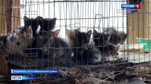 Зоозащитники бьют тревогу