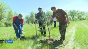 Полицейским Абакана передали новый электрокар  и предприниматели в зоне отдыха высадили сосны 