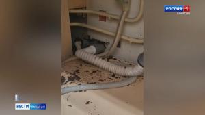 Мобильный репортёр: кто ответит за порыв трубы?