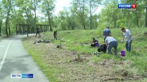 Депутаты приняли участие в акции «Кедры Хакасии»