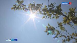 Самая высокая температура в Хакасии зафиксирована в Черёмушках