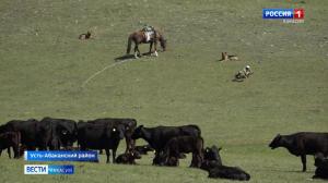 Ставка - на сельское хозяйство