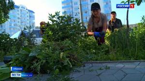 Сотрудники администрации Абакана вышли на субботник