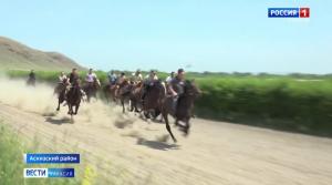 В Аскизском районе отметили День животновода