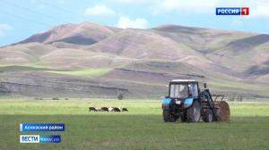 В Хакасии начался сенокос