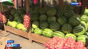 В Хакасии арбузный сезон