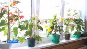 Глава КФХ Людмила Асочакова украшает ферму разными цветами