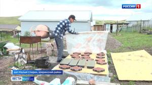 Благоустройство двора своими руками