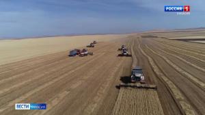 В Хакасии набирает темп уборочная кампания 