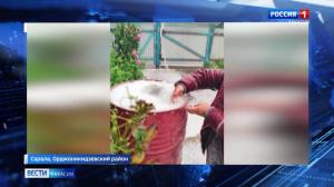 Град размером с перепелиное яйцо