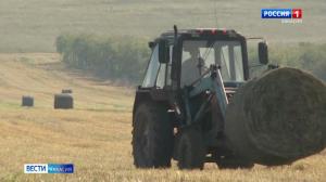 Аграрии не могут убрать зерно и заготовить сено 