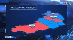 Клещи не отступают 
