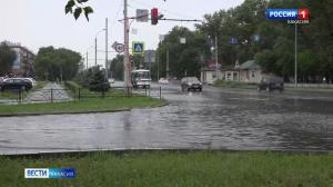 За сутки выпало чуть менее месячной нормы осадков